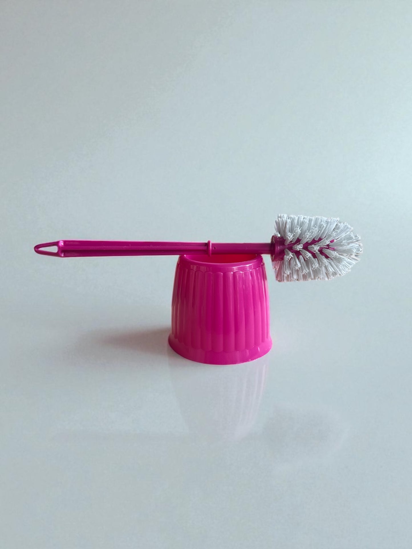 Cepillo Sanitario con Base